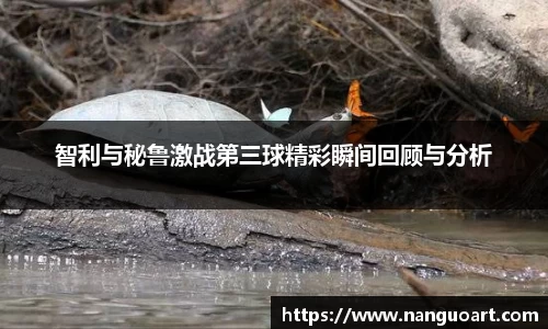 智利与秘鲁激战第三球精彩瞬间回顾与分析